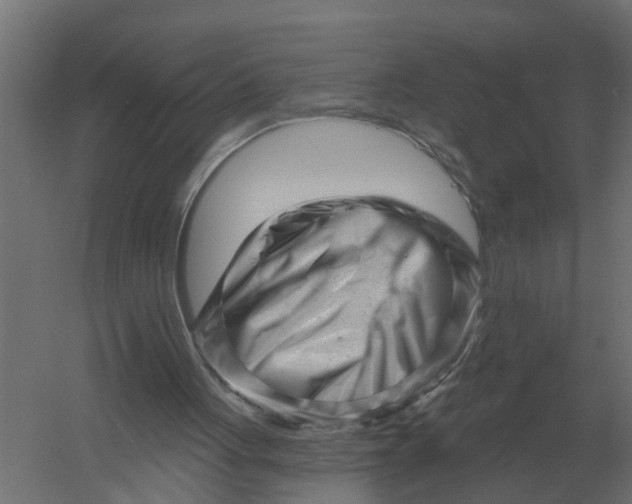 X0000052940051200507300029