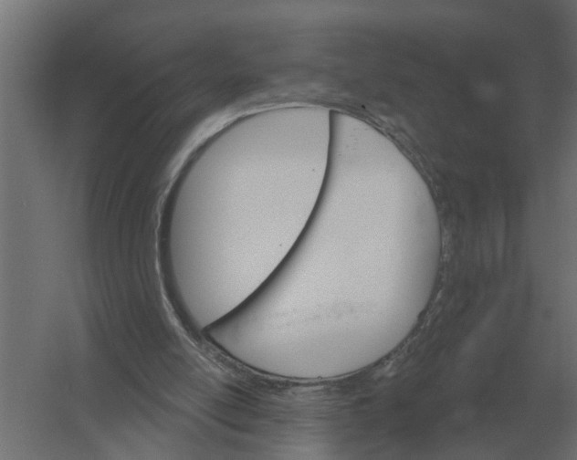 X0000052940054200507300029