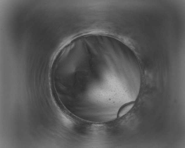 X0000052940055200507300029