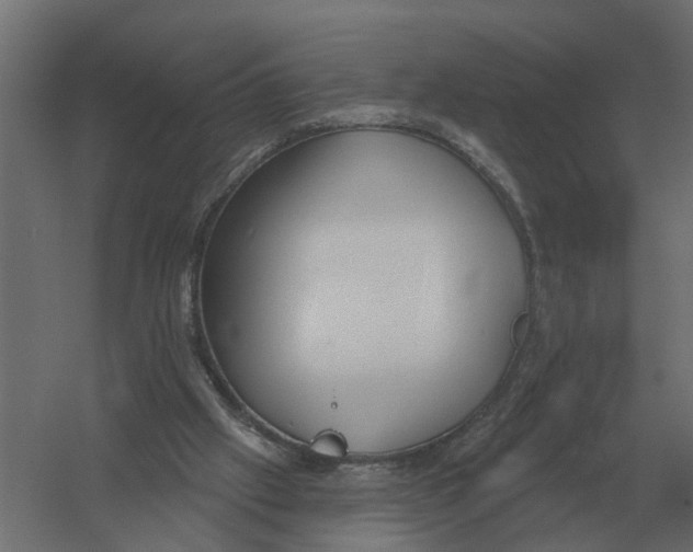 X0000052940057200507300029