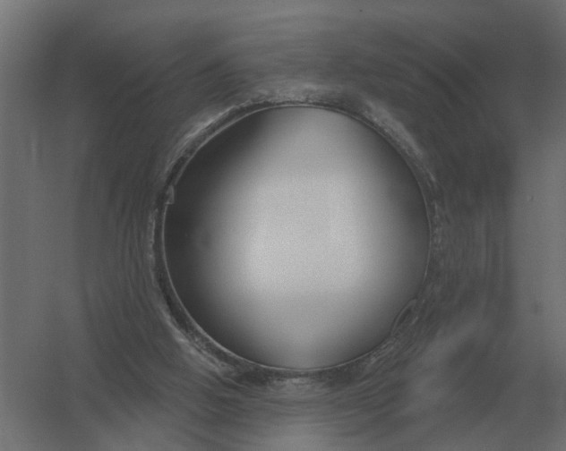 X0000052940058200507300029