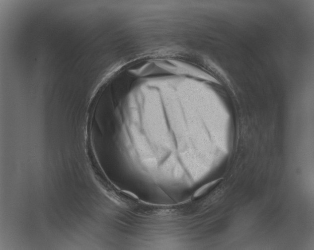 X0000052940059200507300029