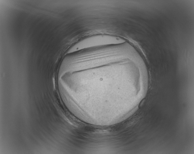 X0000052940061200507300029