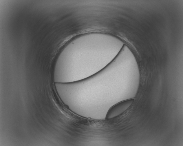 X0000052940062200507300029