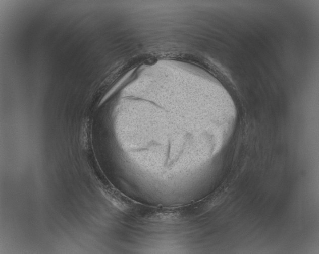 X0000052940065200507300029