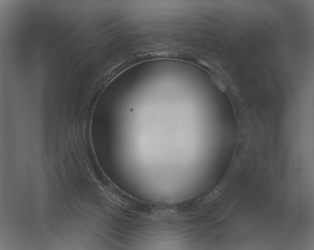 X0000052940066200507300029