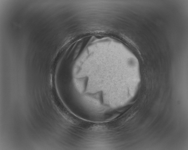 X0000052940067200507300029