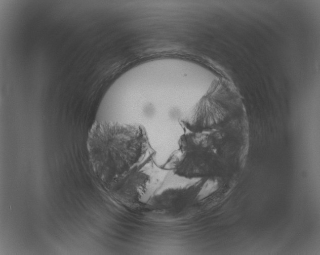 X0000052940069200507300029