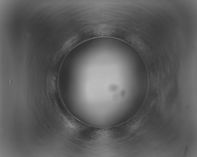 X0000052940071200507300029