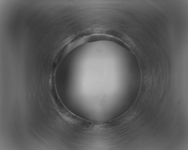 X0000052940072200507300029