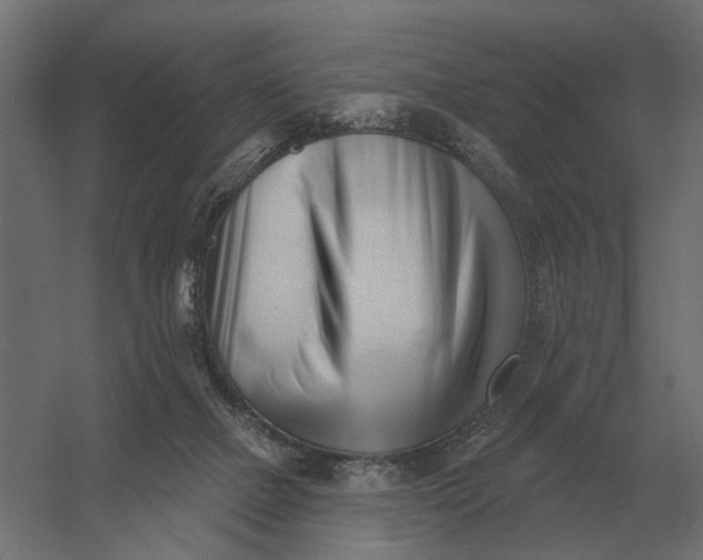 X0000052940073200507300029