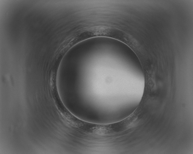 X0000052940074200507300029