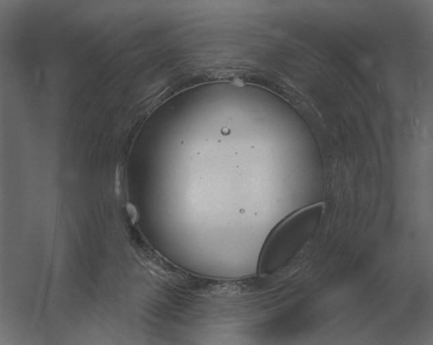 X0000052940075200507300029