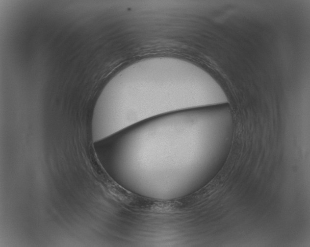 X0000052940076200507300029