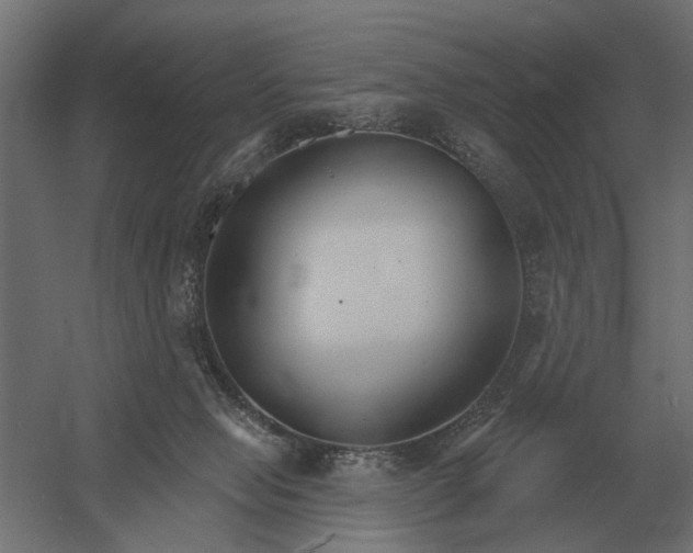 X0000052940077200507300029