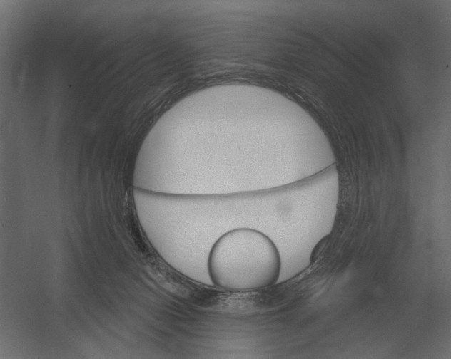 X0000052940078200507300029