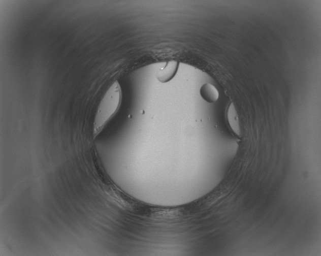 X0000052940081200507300029