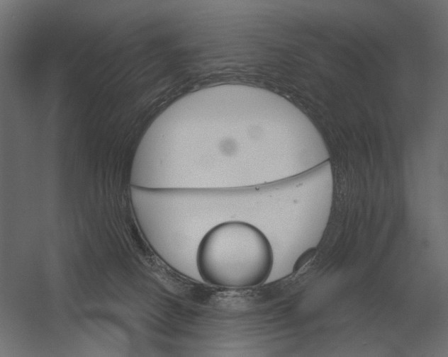 X0000052940082200507300029