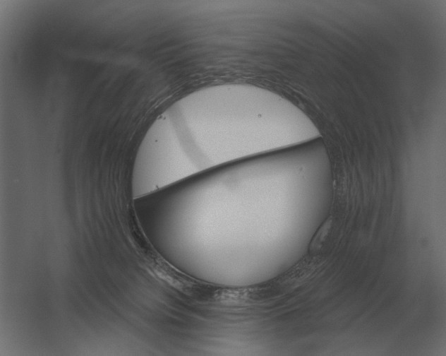 X0000052940084200507300029