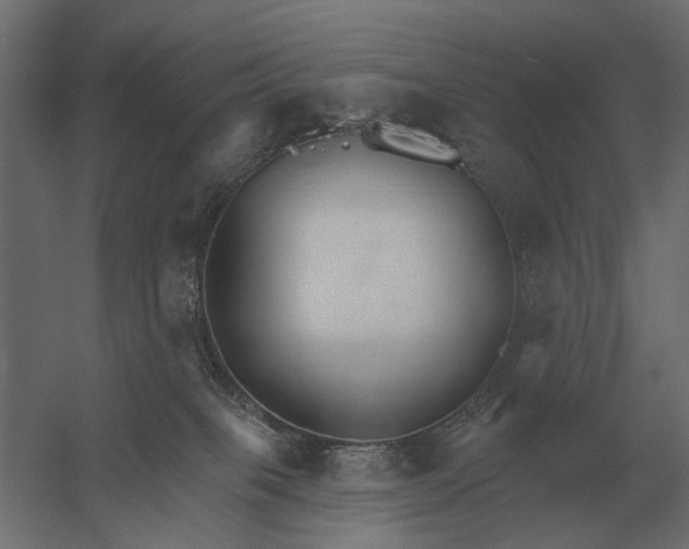 X0000052940085200507300029