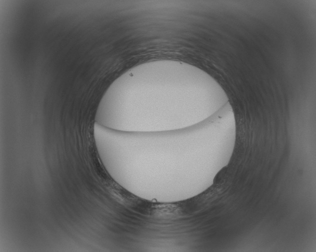 X0000052940087200507300029