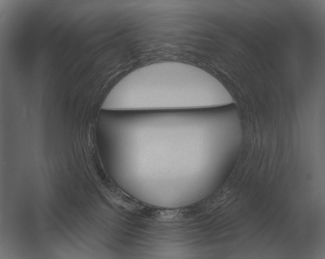 X0000052940088200507300029