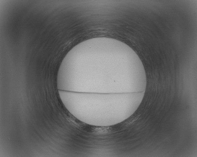 X0000052940089200507300029