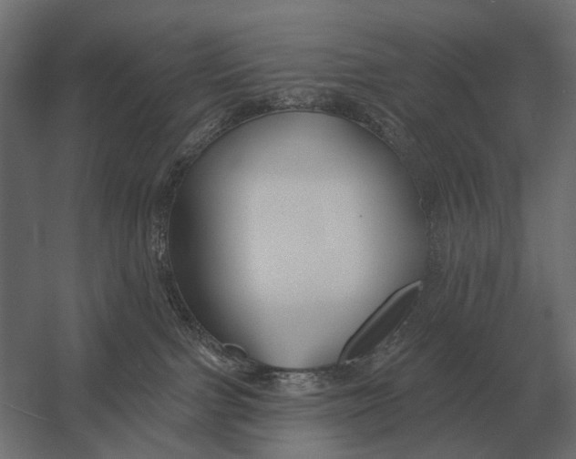 X0000052940091200507300029