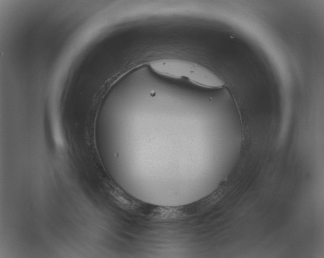 X0000052940093200507300030