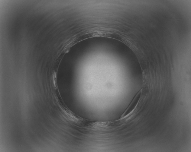 X0000052940094200507300030