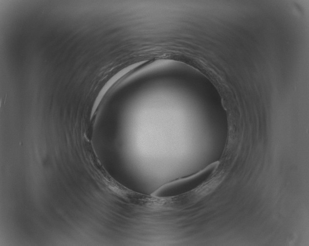 X0000052940096200507300030