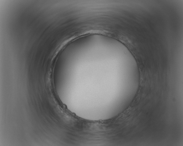 X0000052940098200507300029