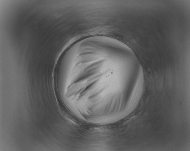 X0000052940100200507300029