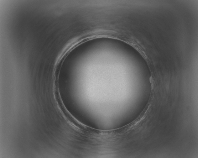 X0000052940101200507300029