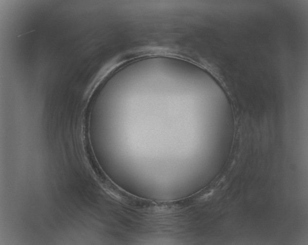 X0000052940103200507300029