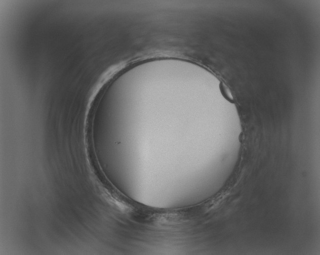 X0000052940104200507300029