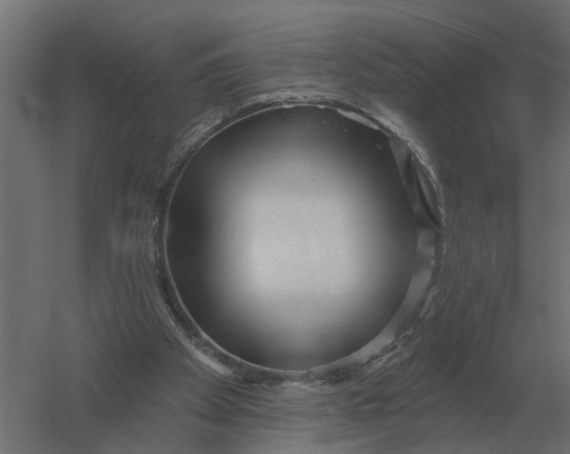 X0000052940105200507300029