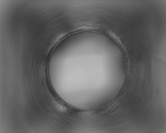 X0000052940106200507300029