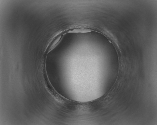 X0000052940107200507300029