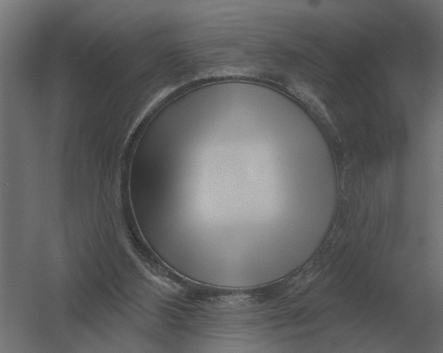 X0000052940108200507300029