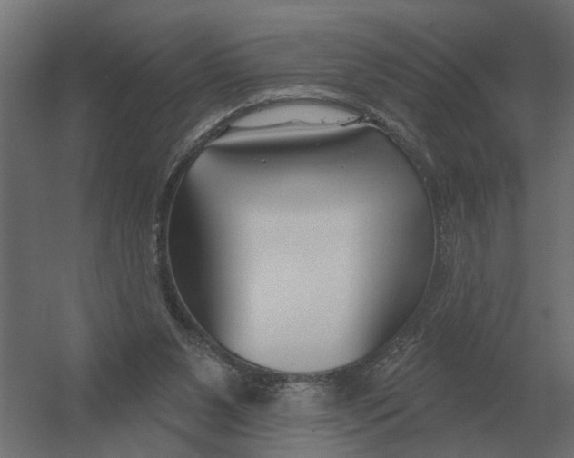 X0000052940111200507300029