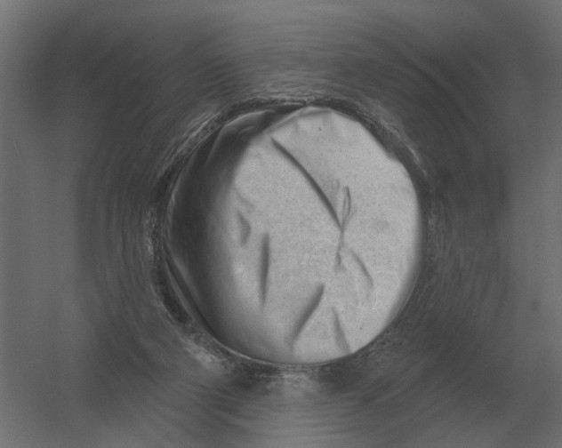 X0000052940114200507300028