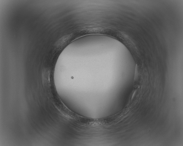 X0000052940115200507300028