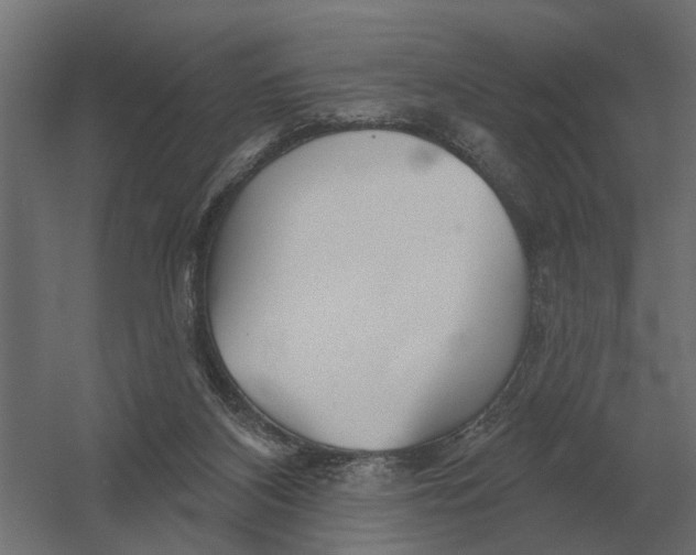 X0000052940116200507300028