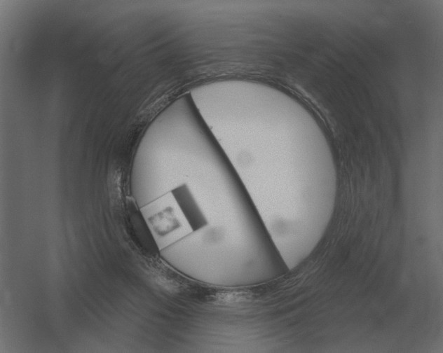 X0000052940117200507300028