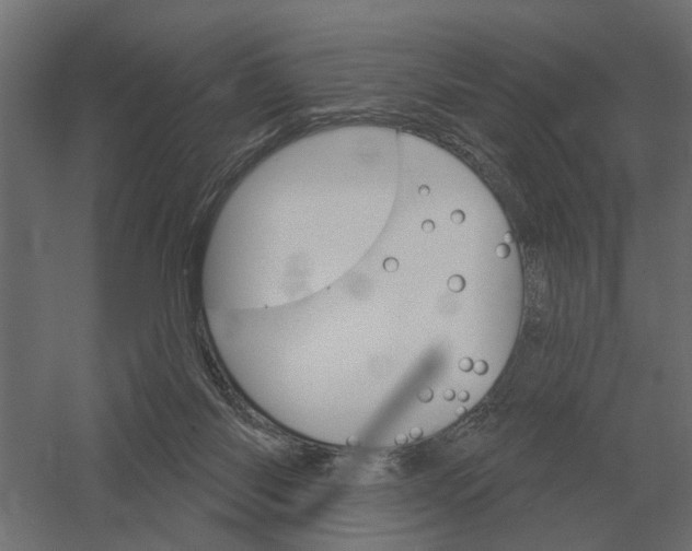 X0000052940118200507300028