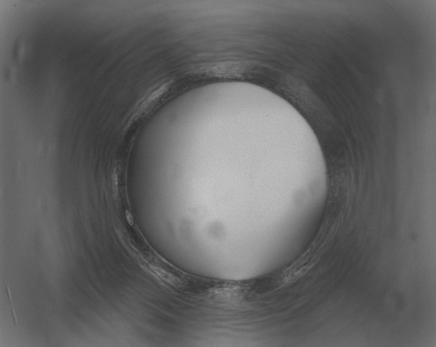 X0000052940120200507300028