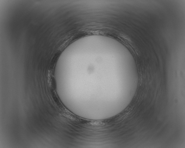 X0000052940121200507300028