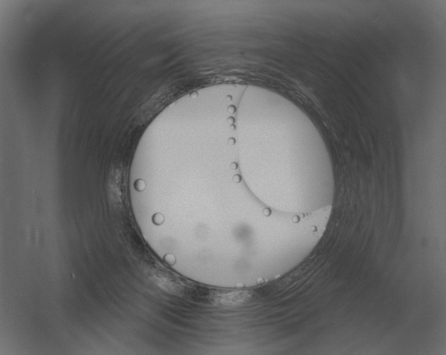 X0000052940122200507300028