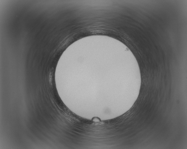 X0000052940124200507300028